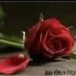 Rawan Roro
