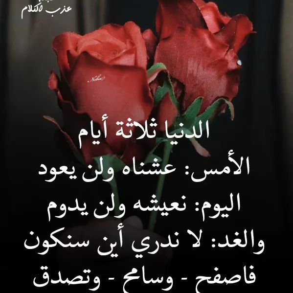 ام غنى ام غنى