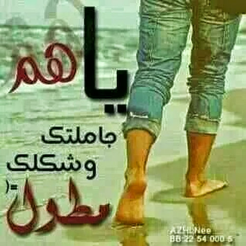 وسيم الحتامله