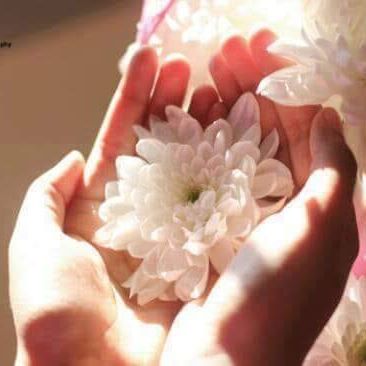 Noor Abu Saleh