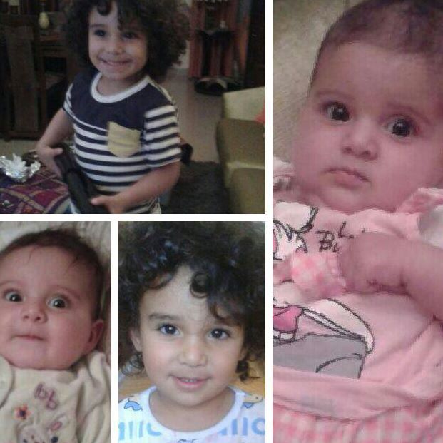 Rasha Abushanab