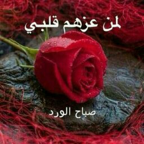 mhmood شقيرات