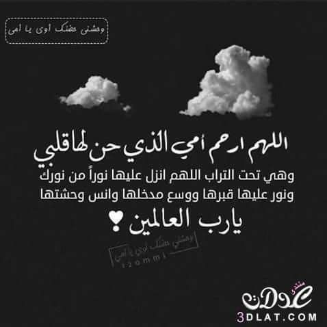 Nour Arw