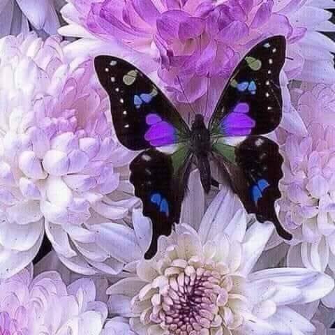 Hager Nageh