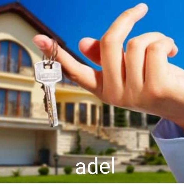 عادل العساف النشاط العقاري