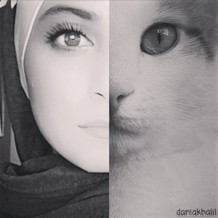 Dania Khalil