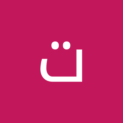 تقي الشربيني