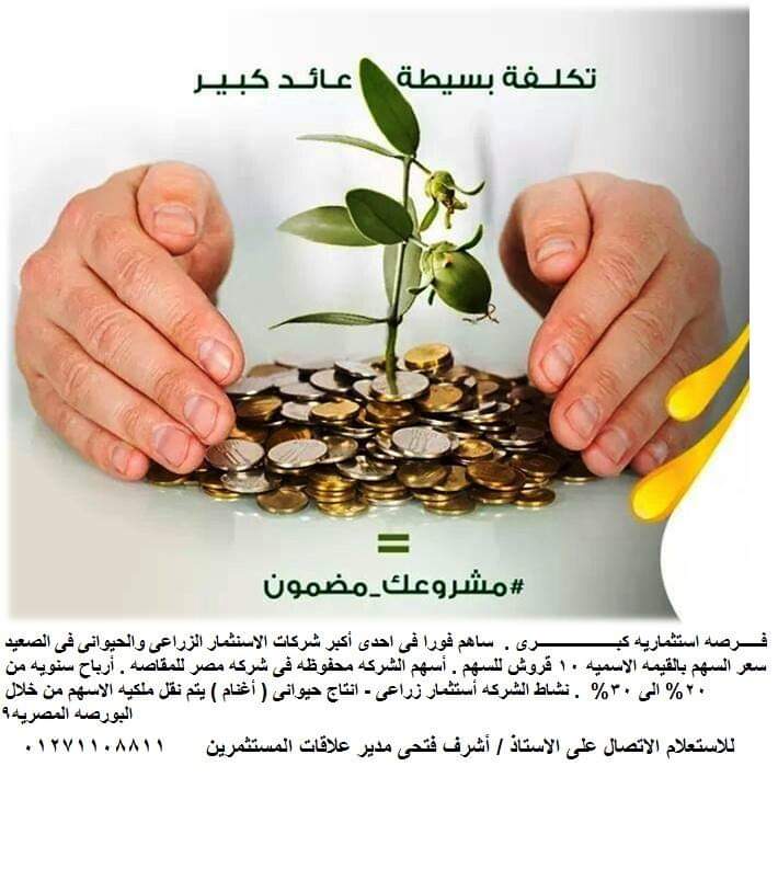BUSINESS LOAN AND PERSONAL LOAN OFFER AT 3%PER ANNUAL-  حضرتك نحن شركة مساهمة...