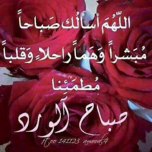 احمد صلاح