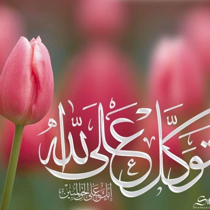 Marwa Ahmed