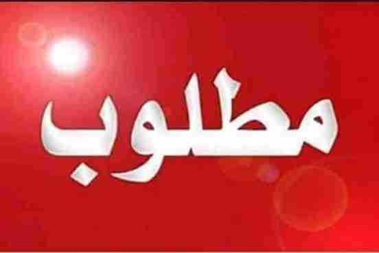 مـطـلوب جـاج بلدي
لا تنسَ أنك شاهدت هذا الإعلان في عنكبوت
مطلوب جـاج بلدي قرب منطقة السلط
الر...