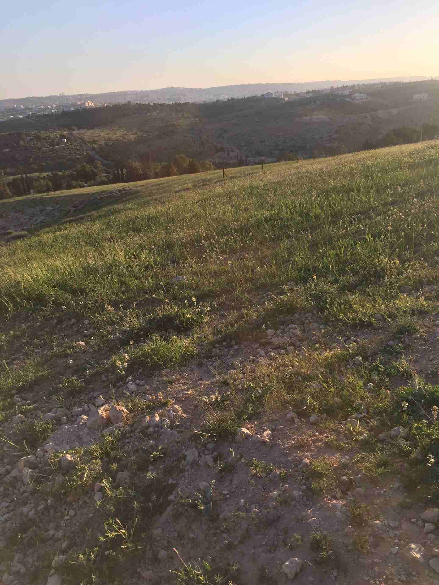 نصف دونم للبيع في شفا بدران زينات الربوع حوض الشكاره                                            


	 				لا تنسَ أنك شاهدت هذا الإعلان في عنكبوت            
	 				
                            قطعة...