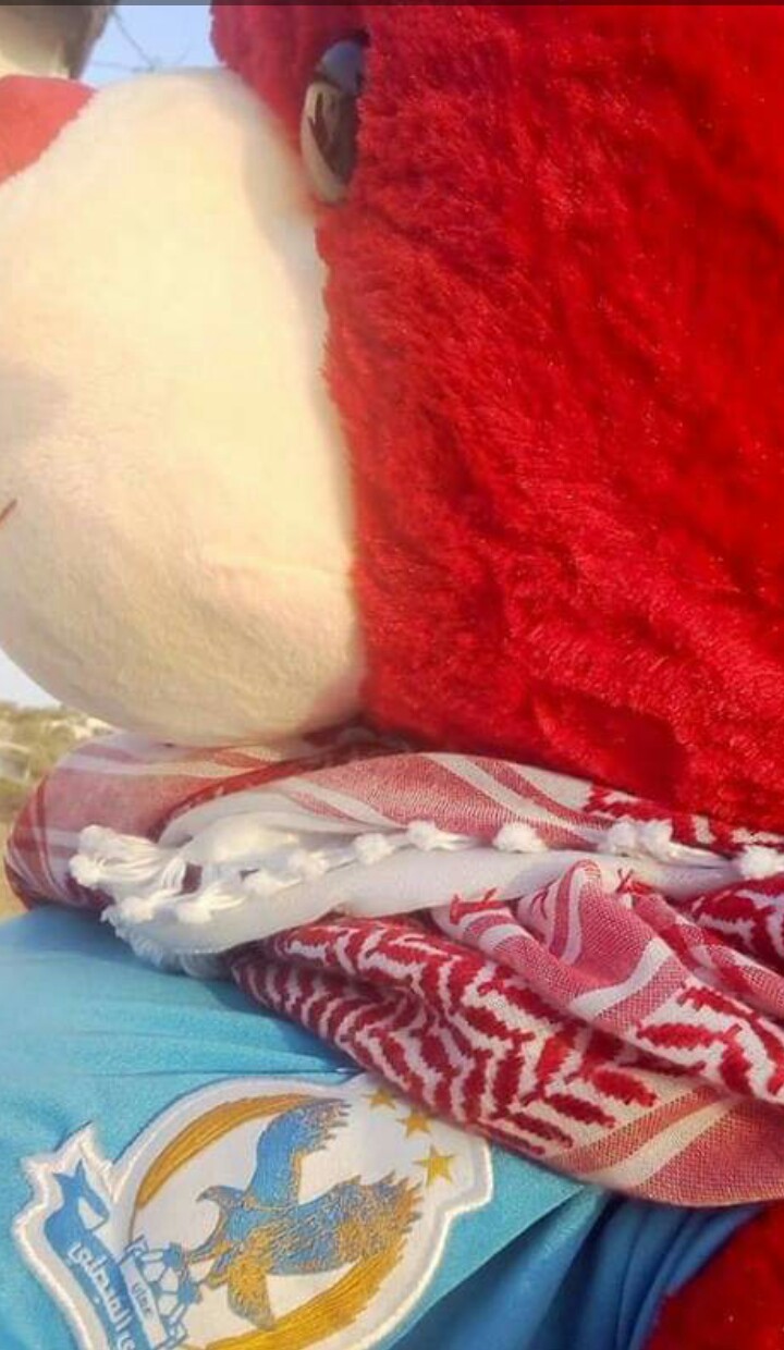 دب فيصلاوي UF                                            


	 				لا تنسَ أنك شاهدت هذا الإعلان في عنكبوت            
	 				
                                الون الاحمر ابيض...