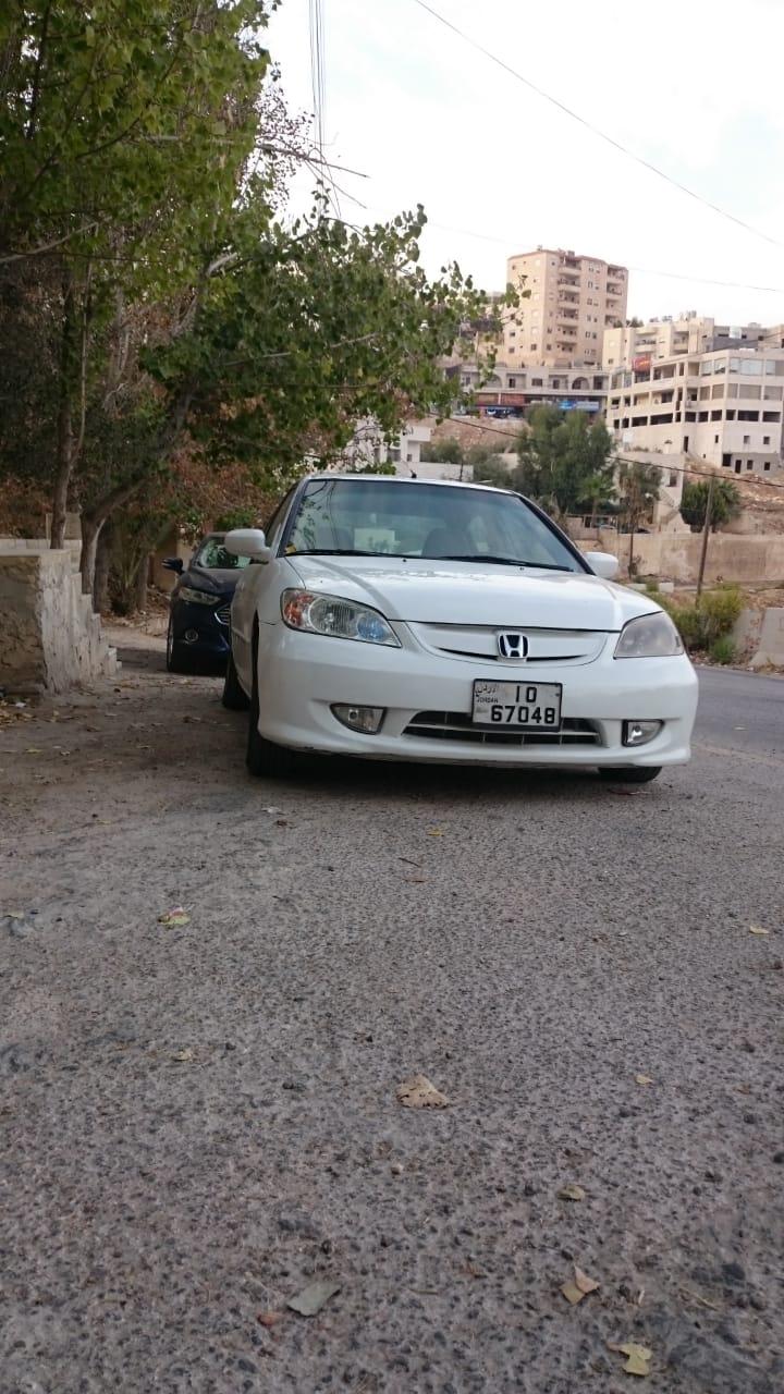 عنكبوت سيارات للبيع