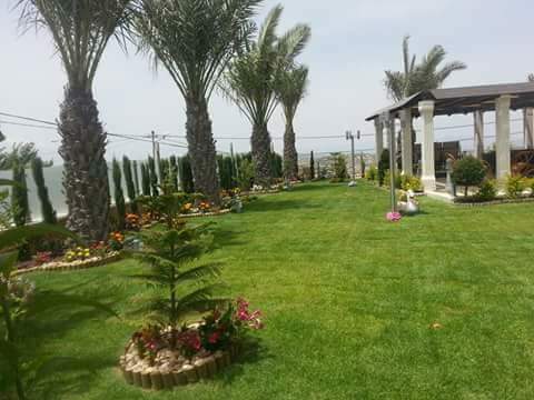توصيل+تراب+احمر+زراعي+في+عمان+0788441130-  مؤسسة الحديقه العصريه...