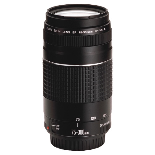 75-300mm canon
لا تنسَ أنك شاهدت هذا الإعلان في عنكبوت
75-300mm canon
mm f/4-5.6...