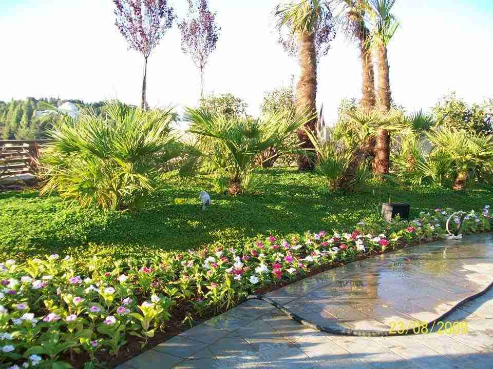 Leading Landscaping Company in Sharjah, We Offer you Unique Landscape Designs in Sharjahhttps://www.kcjlandscaping.ae/sharjah-landscaping-company/Call us +971-5-  تنسيق وتصميم حدائق لا...