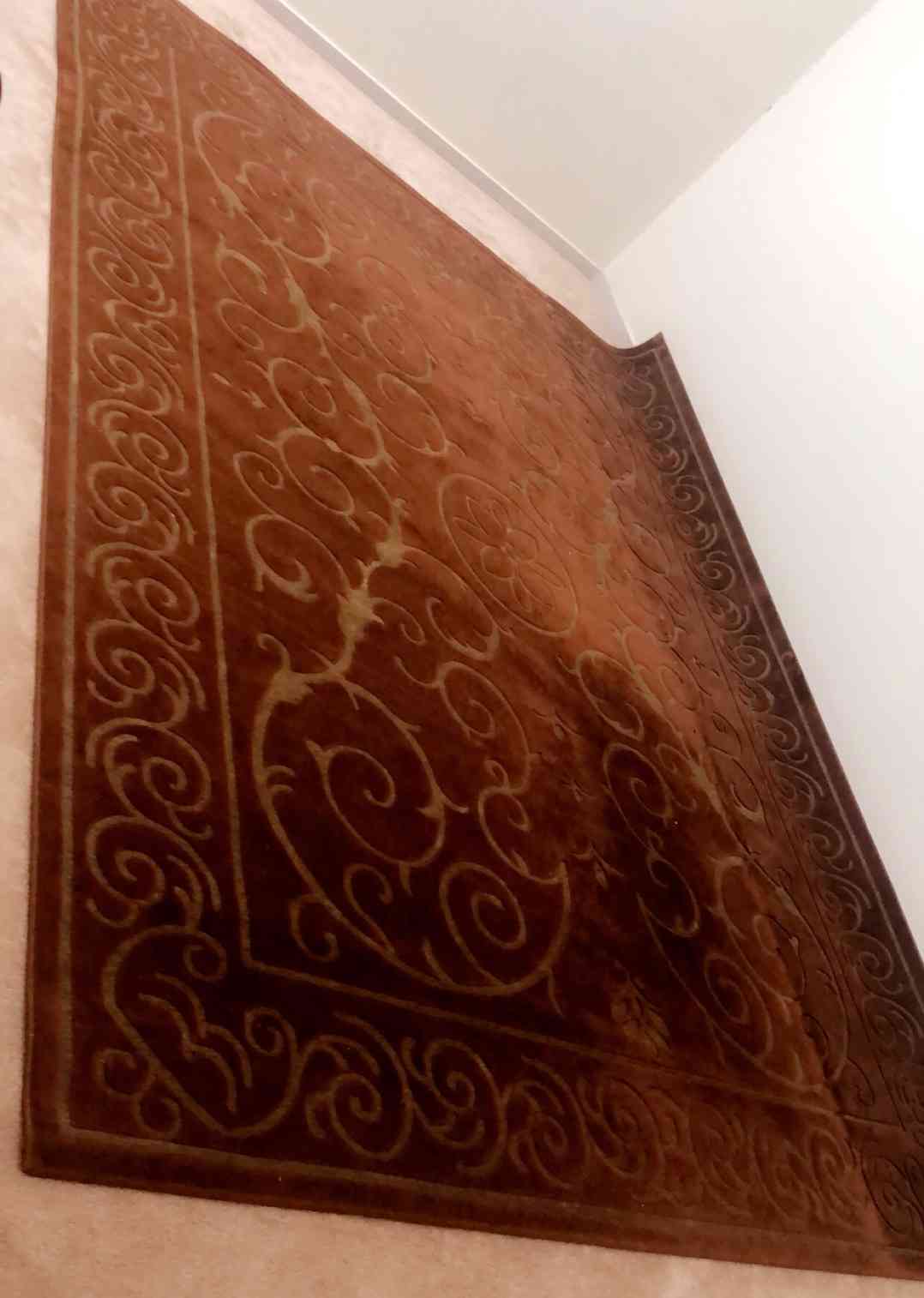 سجاد شبه جديد من نوع فاخر جديد ونظيف جداً بسعر مغري مع طاوله مجاناً
لا تنسَ أنك شاهدت هذا الإعلان في عنكبوت...