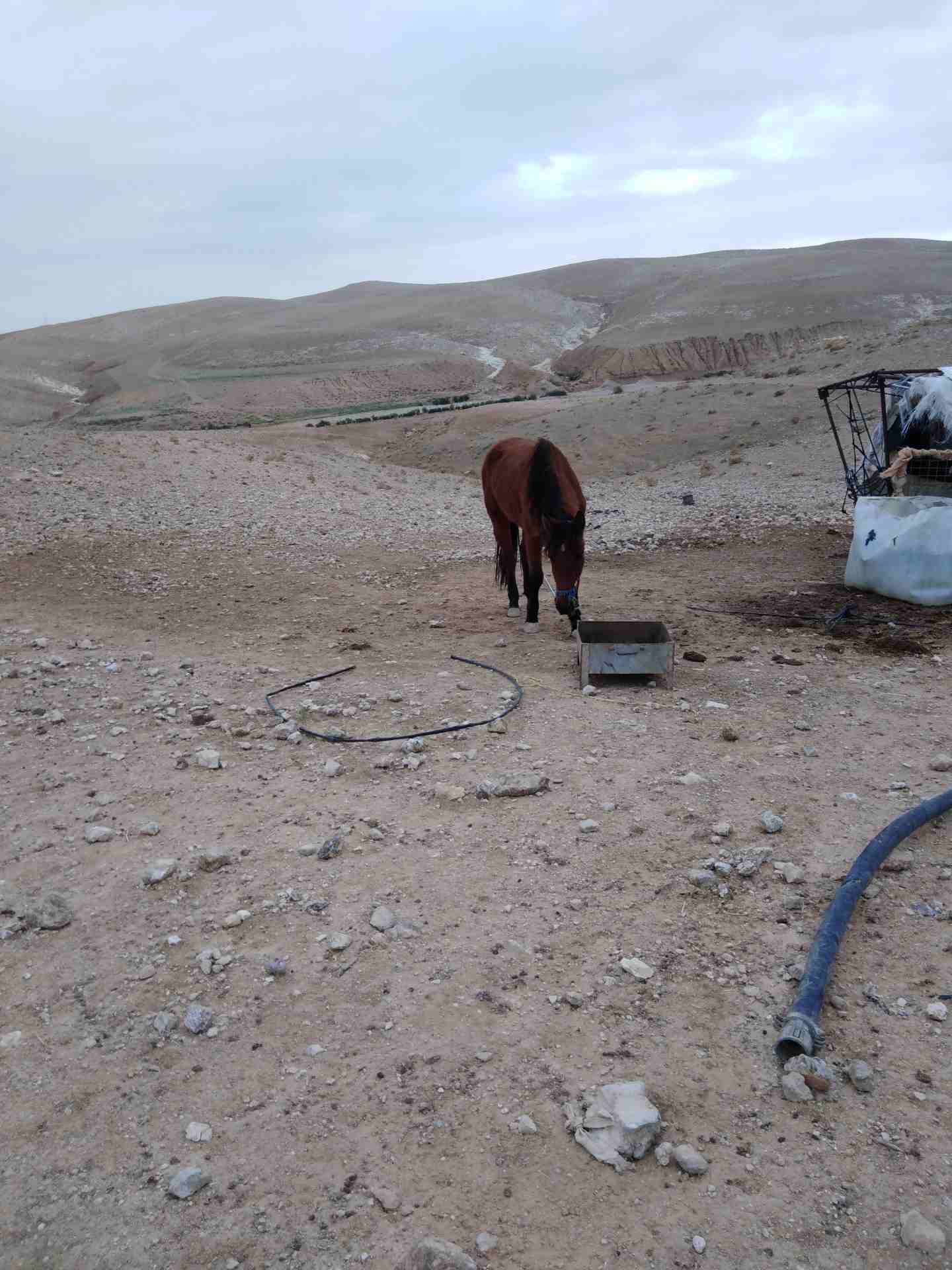 أفلح من ذكر الله وصلى على سيدنا محمد فرس عمر 4سنوات فاضية مطلوب 1،000                                            


	 				لا تنسَ أنك شاهدت هذا الإعلان في عنكبوت...