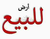 ارض زراعيه للبيع
كود 4097

ارض زراعيه مساحه  5 افدنه و 5 اسهم بطول 60 م

على الطريق الرئيسي

كفر الحصه

سعر القيراط 55  الف جنيه

للمعاينه والاستعلام   Hot line\ 01289896363

01066684051\01151178817\0...