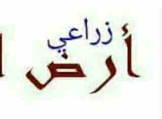 بالقرب من العلمين الجديدة بالساحل الشمالي 6 فدان مقننة منزرعة جوافة وتفاح مطلوب 300 ألف ج للفدان