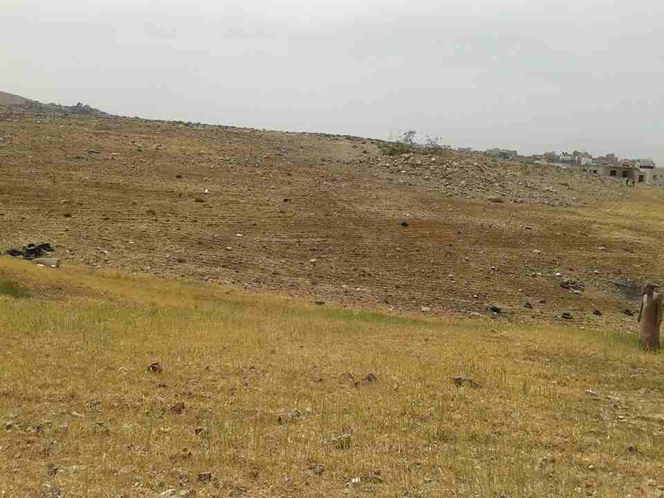 أرض للبيع بمخطط عريض 2746-  الأردن   عمان قطعة ارض في...