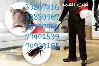 تقدم لكم : شركة بيت العمر
اقوي عروضها في مكافحة الحشرات والزواحف والقوارض باقوي تركيبة مبيد عام من المواد والمبيدات الالمانية والفرنسية لبيت خالي من الحشرات وعروضنا كالتالي....
رش فيلا داخل : ١٥٠ ريا...