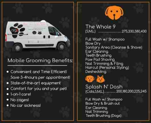 كلابNine Tails Pet grooming based in Abu Dhabi specializing in quality...