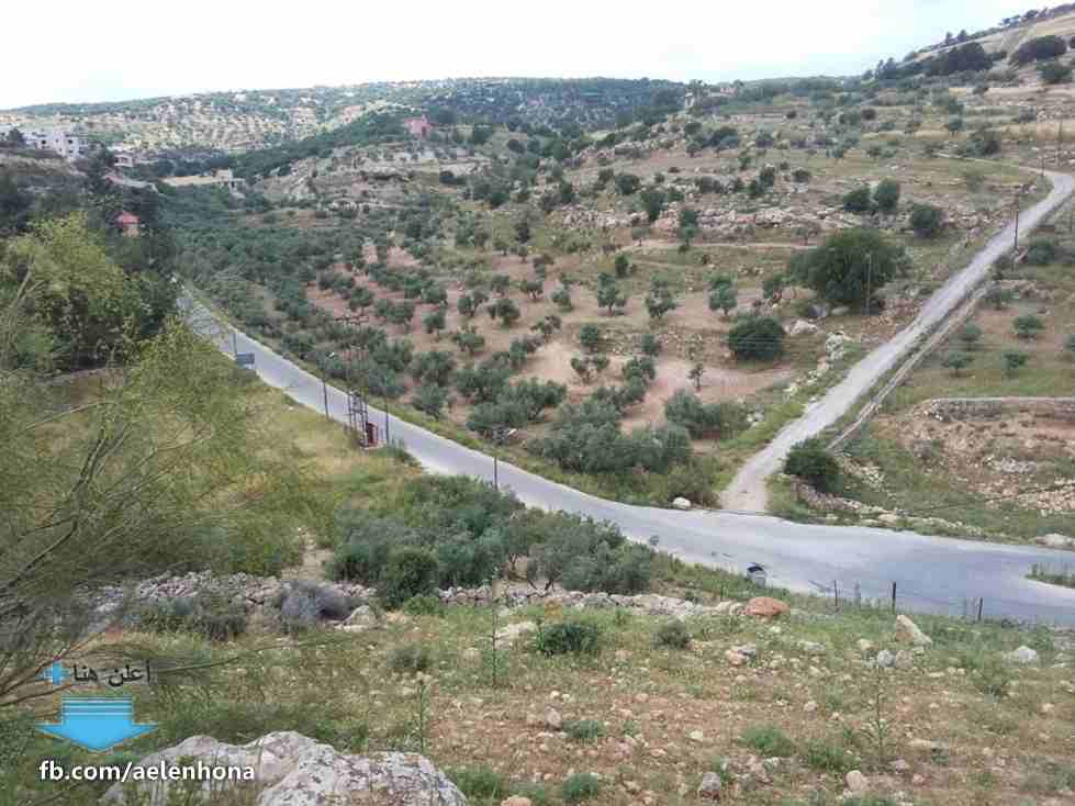ارض فلاحيه 9هكتار باتنه طريق وطني الذي يؤدي لبلدية فم طوب-  الأردن   البلقاء قطعة ارض...