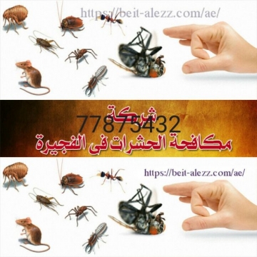 خدمات , - اعلن مجاناً في منصة وموقع عنكبوت للاعلانات المجانية المبوبة- - شركة مكافحة الحشرات والصراصير والنمل والبق وجميع أنواع الحشرات...