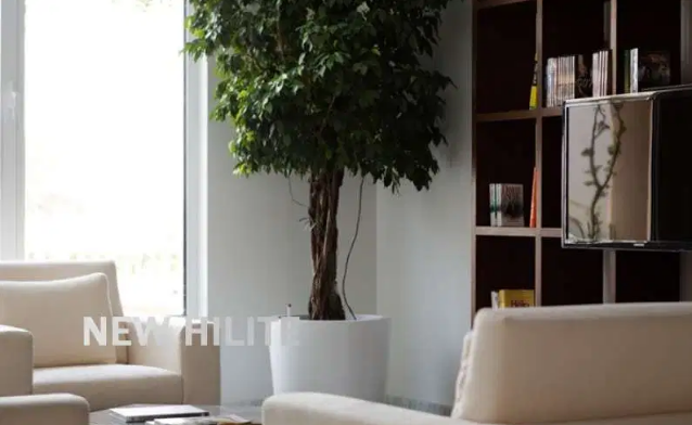 Stunning View of Marina | Spacious | Dubai Marina-  NewHilite Realtors are...