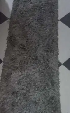 مشايه شاج رمادي للبيع