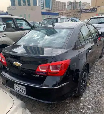 شفر كروز موديل 2016
