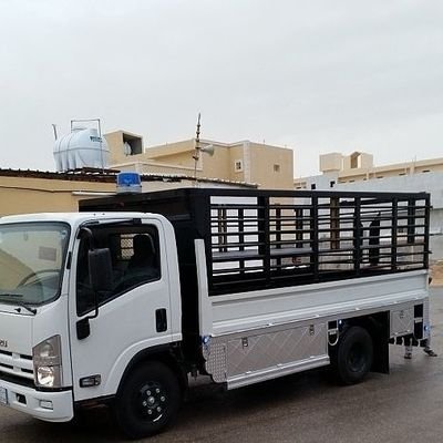 Mohamed Alemam